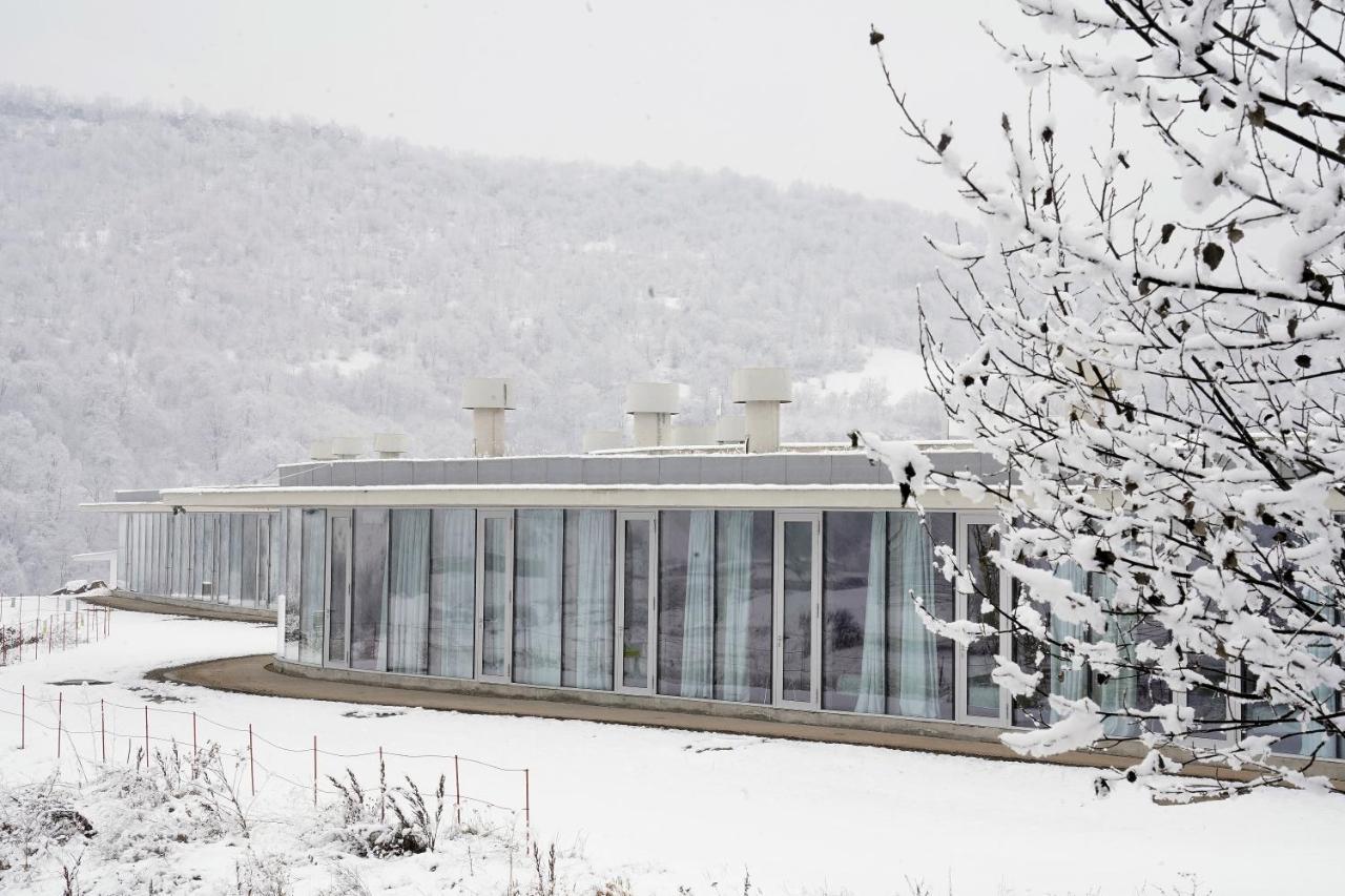 Concept Hotel By Coaf Debed Dış mekan fotoğraf